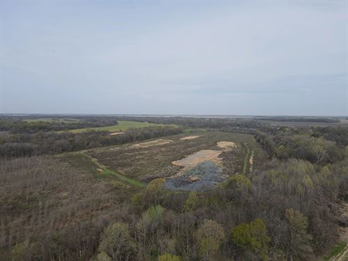 870 Acres in Sunflower County, MS : Indianola : Sunflower County : Mississippi