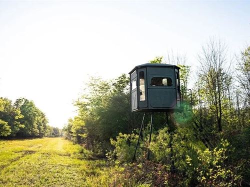 Legacy Waterfowl Hunting in The Mis : Redwood : Issaquena County : Mississippi