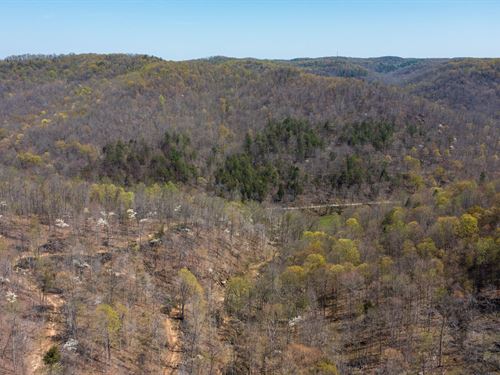 No Credit Check, $999 Down : Mount Vernon : Rockcastle County : Kentucky