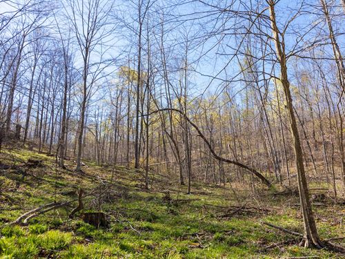 $999 Down / No Credit Check : Mount Vernon : Rockcastle County : Kentucky