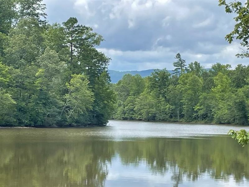 45.70 Acres, Tract 5 on Osheal : Tamassee : Oconee County : South Carolina