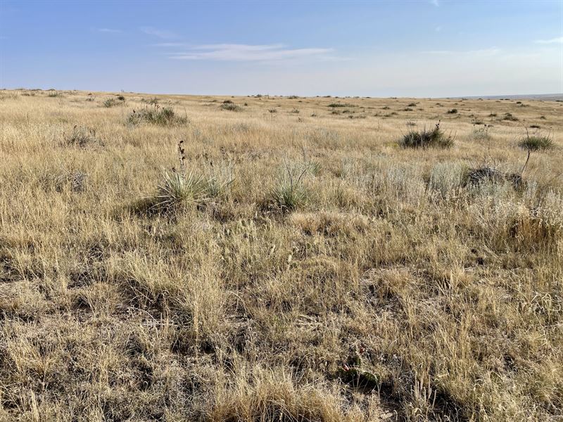 Deer Trail 48'S : Deer Trail : Elbert County : Colorado
