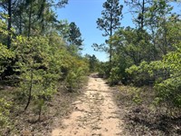 Hall Branch Farm : Macon : Bibb County : Georgia