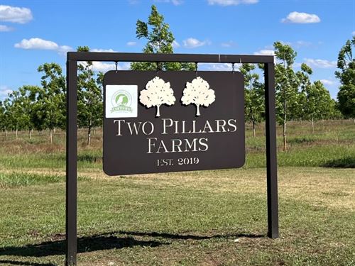 The Orchards of Two Pillars Farms : Hawkinsville : Houston County : Georgia
