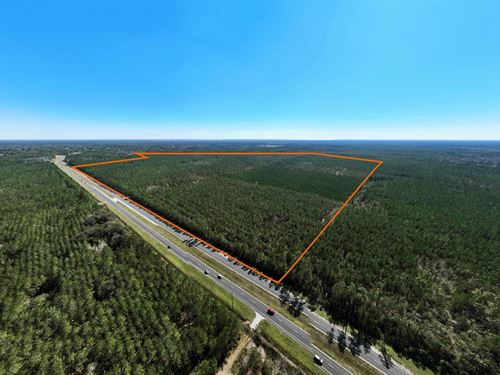 Palatka 356 Ac Development Tract : Palatka : Putnam County : Florida