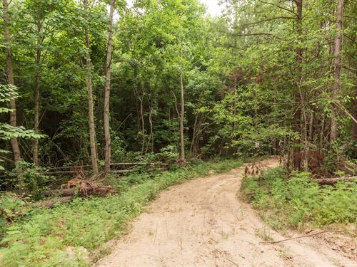 No Credit Check and $499 Down : Lexington : Henderson County : Tennessee