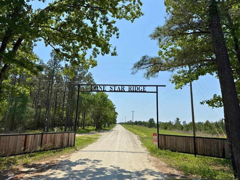 10 Acres, Lost Creek Road : Lovelady : Houston County : Texas