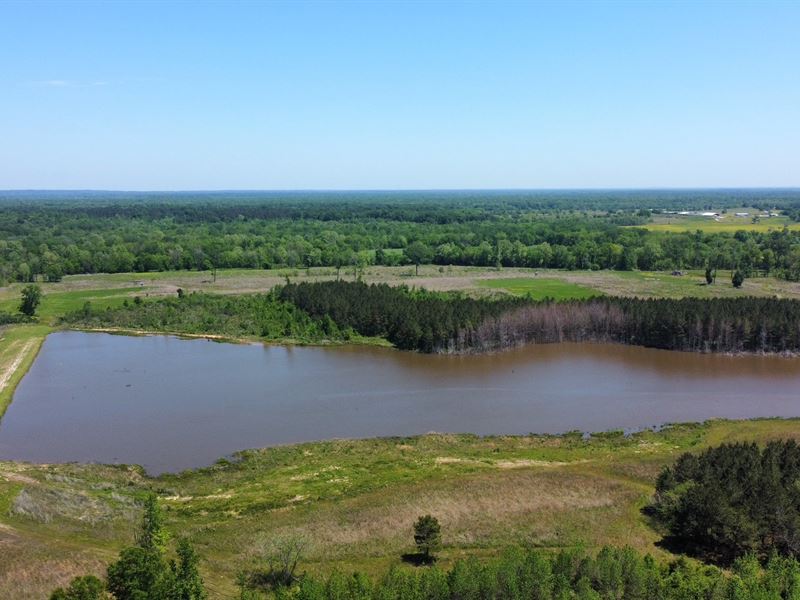 High Fence Property in Gordonsville : Gordonsville : Lowndes County : Alabama