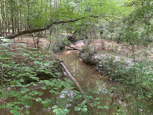 Shine Road Tract, 24 Ac, Butler Co : Greenville : Butler County : Alabama