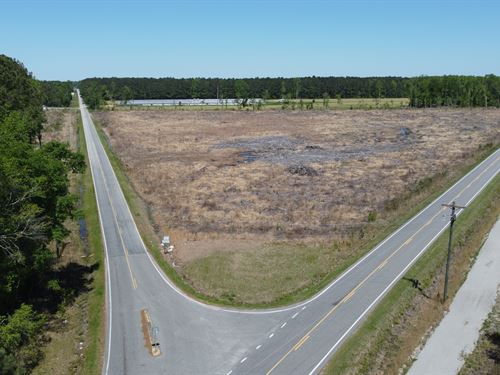 357 Ac with Creek & Atv Trails : Whitakers : Edgecombe County : North Carolina