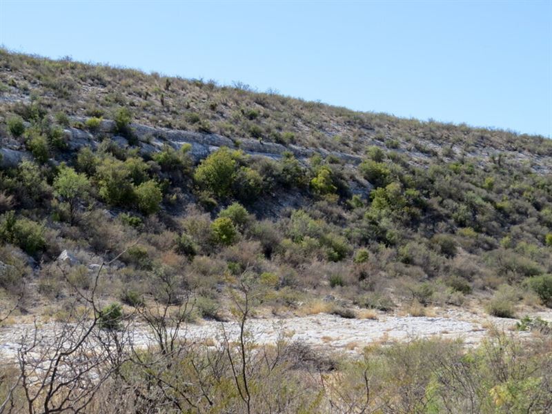 Indian Waterhole, Lot 18 Electric : Dryden : Terrell County : Texas