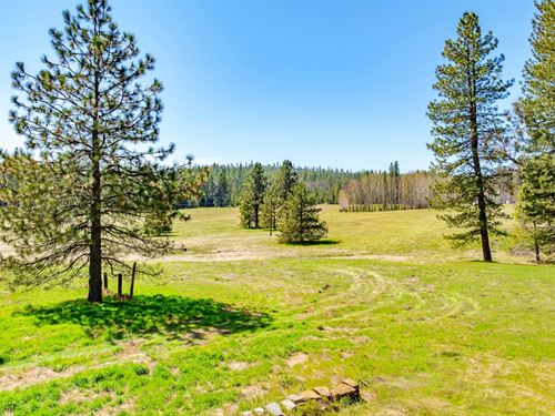 Fiske Ranch : Greeley Hill : Mariposa County : California