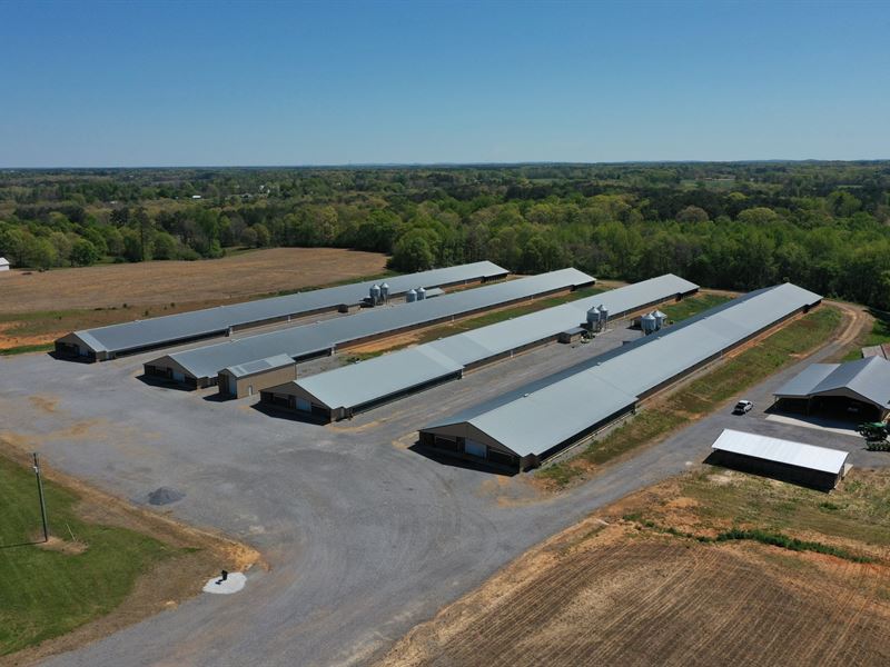 Emily's Chicken Coop : Boaz : Dekalb County : Alabama