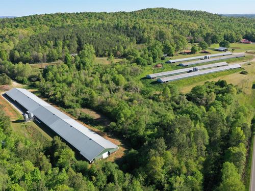 New Price-County Line Broiler Farm : Delta : Cleburne County : Alabama