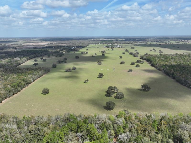 Mixed Use Development Heldon Ranch : Dunnellon : Marion County : Florida