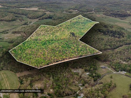 Exceptional 148 Ac Property : Crofton : Christian County : Kentucky