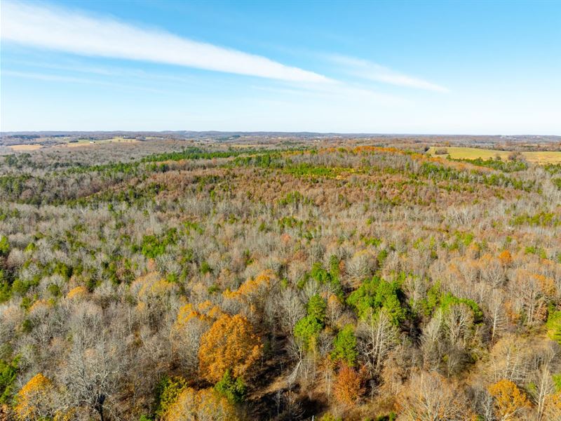 43 Acres, Hunting Land, Timberla : Cave City : Sharp County : Arkansas