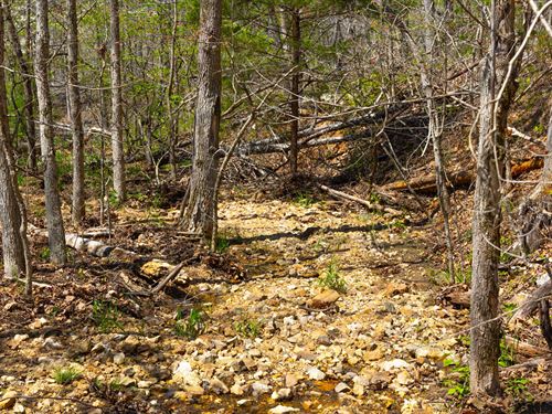 $999 Down Beautiful Arkansas Land : Mammoth Spring : Fulton County : Arkansas