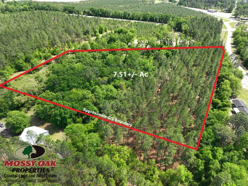 7.5 Ac Land for Sale in Pierce : Patterson : Pierce County : Georgia