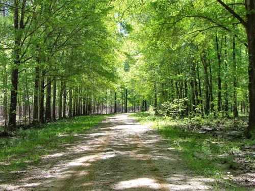 600 Ac, Bullock & Macon Co, WI : Union Springs : Bullock County : Alabama