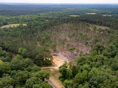 30 Ac Dale Co, Ariton Mini Farm : Ariton : Dale County : Alabama