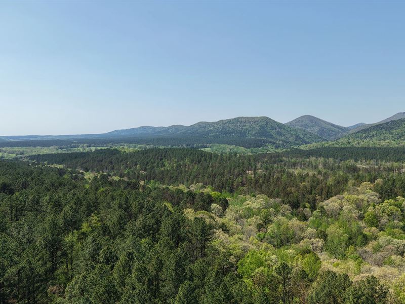 20 Acres in Pike County, AR : Langley : Pike County : Arkansas