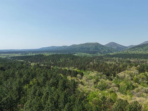 20 Acres in Pike County, AR : Langley : Pike County : Arkansas