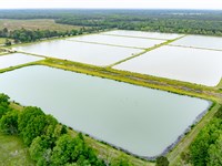 Catfish Reserve & Recreational Land : Clarksville : Red River County : Texas