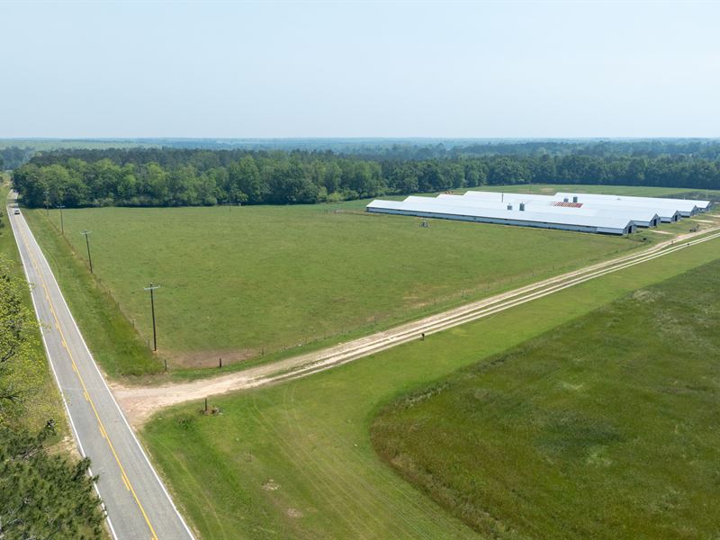 Tired Creek Chicken House Game Farm : Whigham : Grady County : Georgia