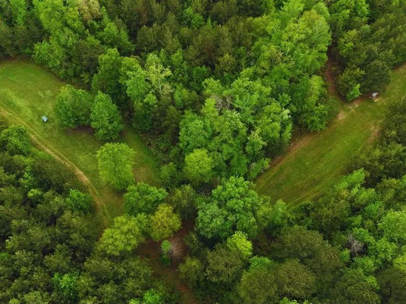 160 Acres in Lauderdale County : Lauderdale : Lauderdale County : Mississippi