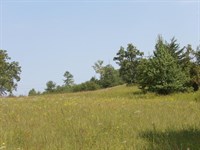 Plenty of Building Spots, Views : Deer Lodge : Morgan County : Tennessee