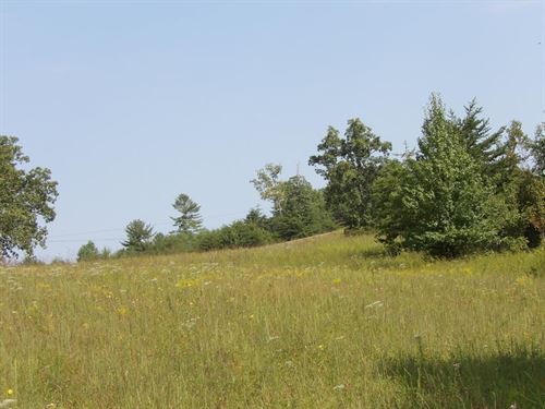 Plenty of Building Spots, Views : Deer Lodge : Morgan County : Tennessee