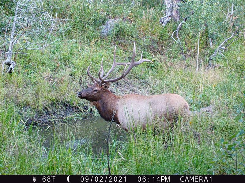 Old Flowers Ranch : Bellvue : Larimer County : Colorado