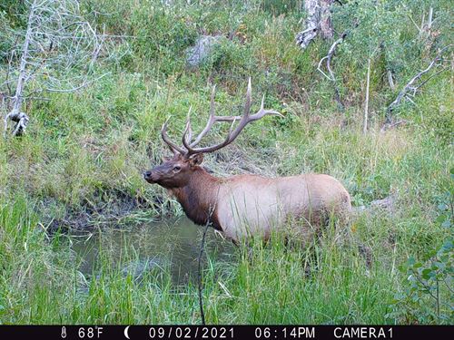 Old Flowers Ranch : Bellvue : Larimer County : Colorado