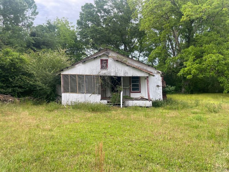 28.8 Acres Butler County AL : Georgiana : Butler County : Alabama