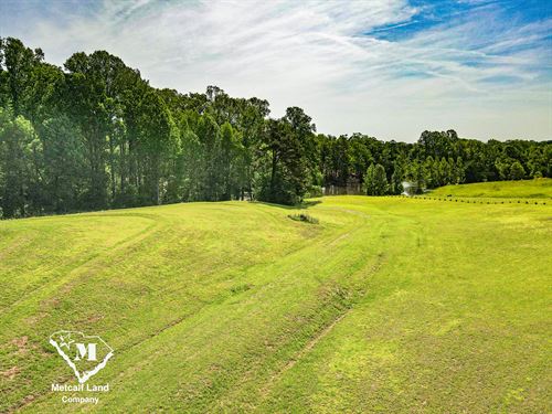 5 Acres with Pond in Campobello, SC : Campobello : Spartanburg County : South Carolina