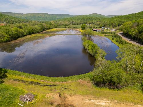 Gaddyshack Farms, 28 Jackson Co : Woodville : Jackson County : Alabama