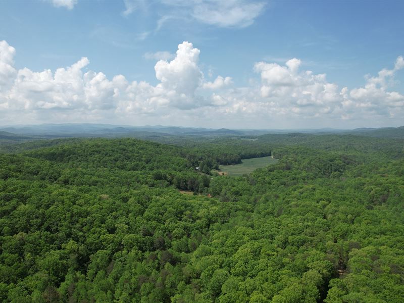 34 Acres Gilmer County, GA : Ellijay : Gilmer County : Georgia