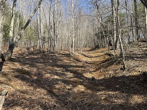 Subdivided NC Property : Jefferson : Ashe County : North Carolina