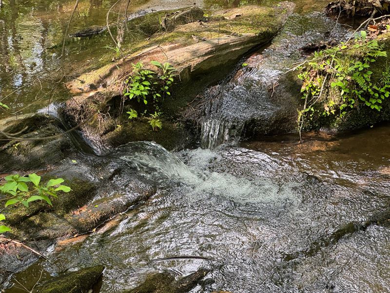 35.85 Acre, Churchilll Road, Ta : Camp Hill : Tallapoosa County : Alabama