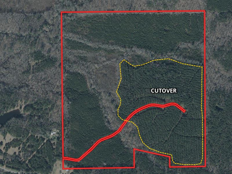 Attwood 166 Acres Attala County, MS : Kosciusko : Attala County : Mississippi