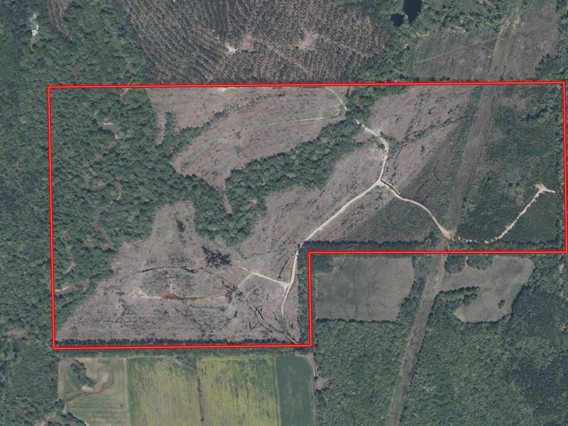 Lockhart 248, Lauderdale Co. MS : Meridian : Lauderdale County : Mississippi