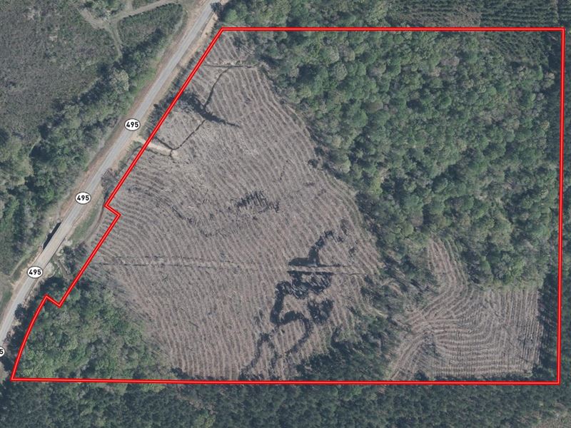 Cow Creek in Kemper County, MS : Dekalb : Kemper County : Mississippi