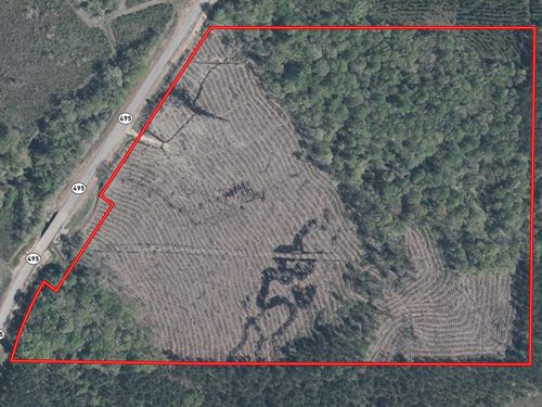 Cow Creek in Kemper County, MS : Dekalb : Kemper County : Mississippi