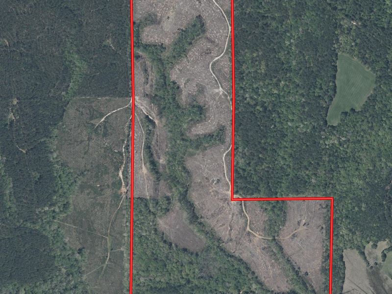 Blackwater North 186, Kemper Co. MS : Porterville : Kemper County : Mississippi