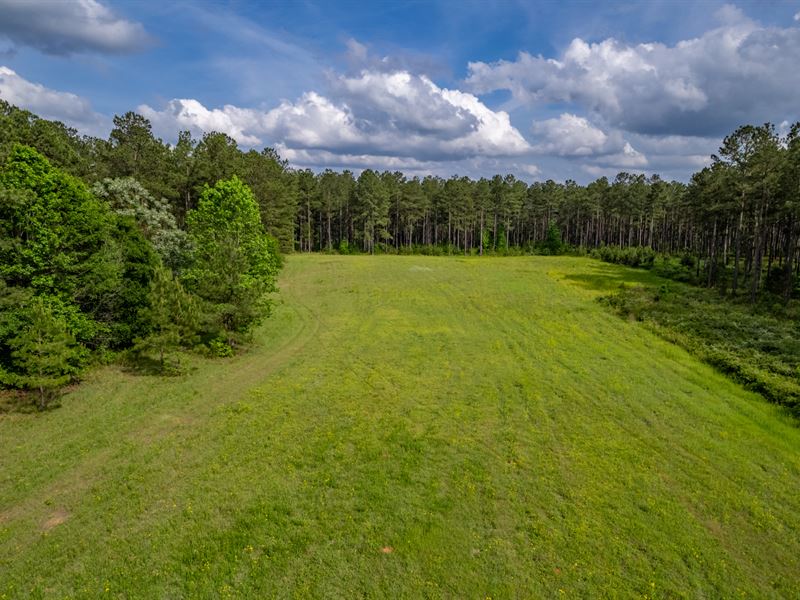 21 Acres in Greene County : White Plains : Greene County : Georgia