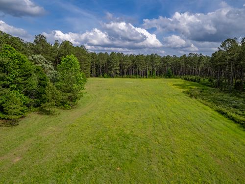 21 Acres in Greene County : White Plains : Greene County : Georgia