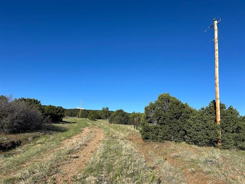 Lot 165 Silver Spurs Ranch, Walsenb : Walsenburg : Huerfano County : Colorado