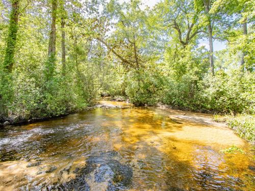 2,258 Ac Turkey Creek Timberlands : Bristol : Liberty County : Florida