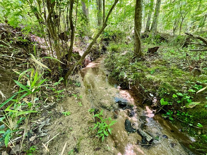 32 Acres in Heard County, GA : Franklin : Heard County : Georgia